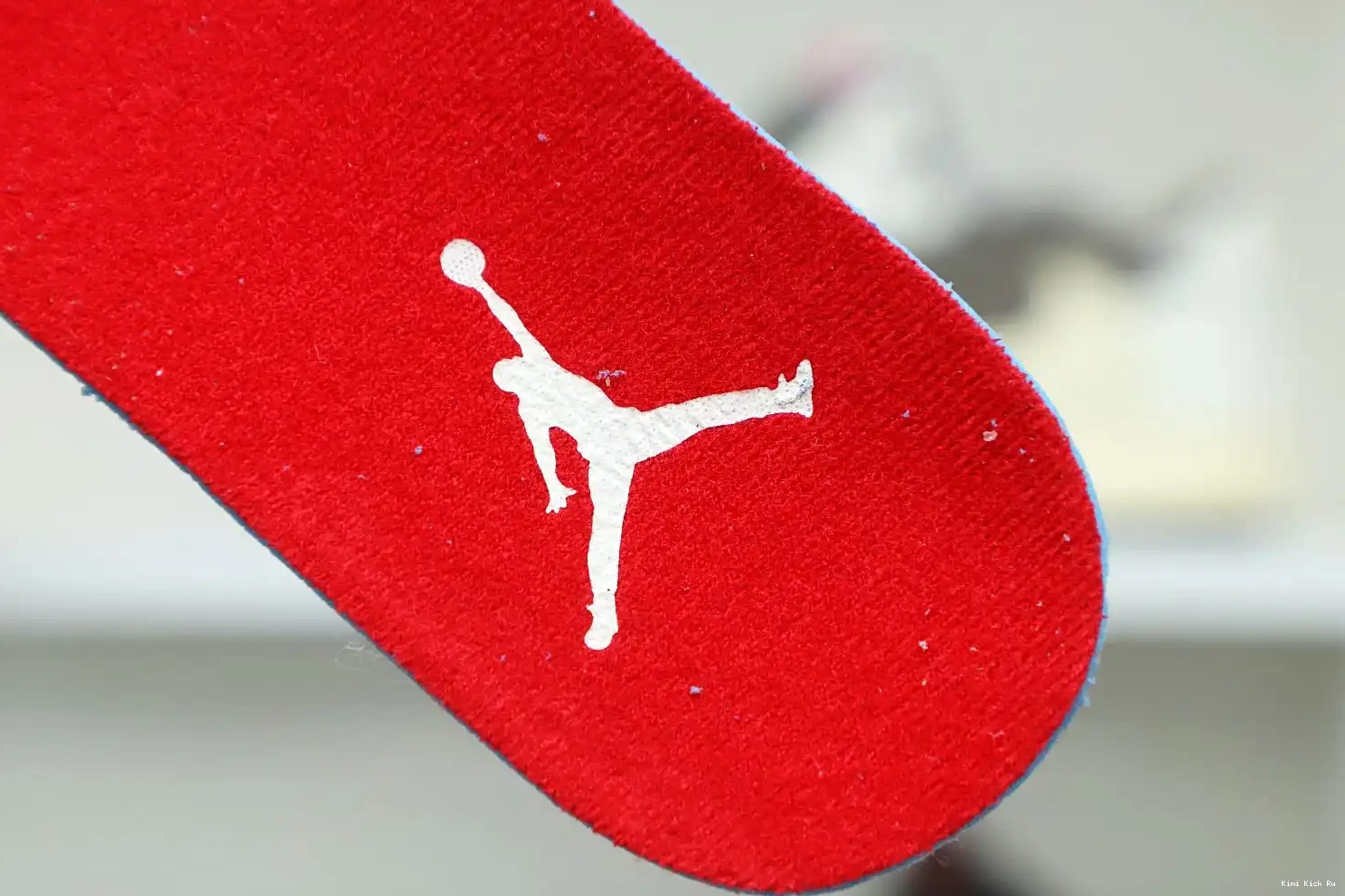 GS 4 RETRO JORDAN Kimikick AIR 'WILD THINGS' 0802